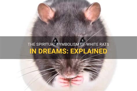 The White Rat Talisman: Nurturing Your Emotional Well-being